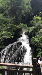 翻转吧，苹果虫