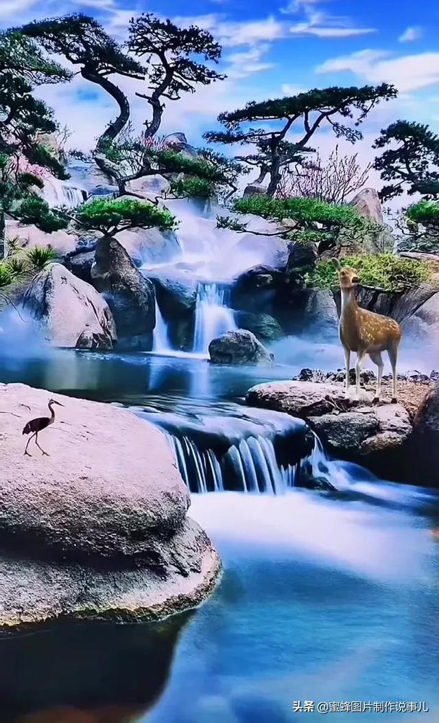 御龙在天